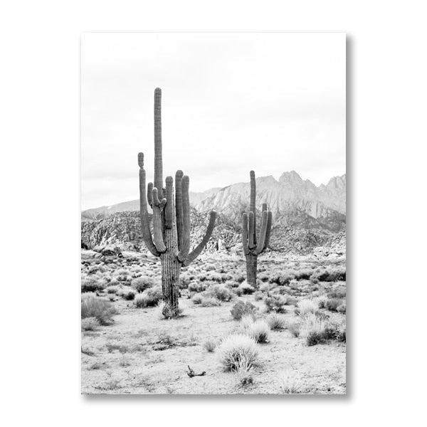 Black And White Cactus Desert Canvas Art