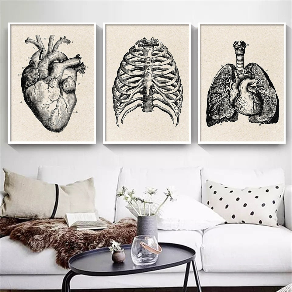 Vintage Human Anatomy Canvas Art