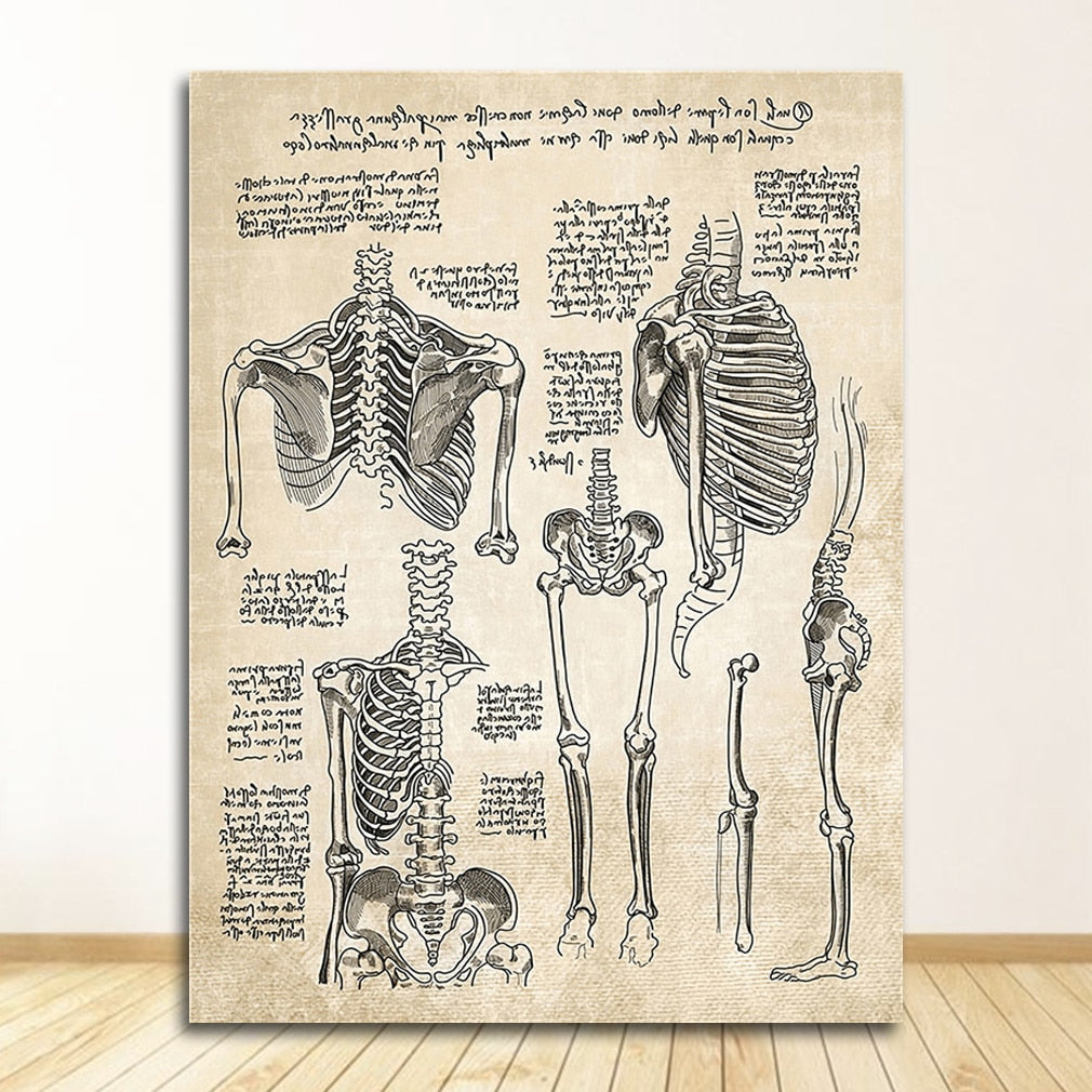 Vintage Anatomy Canvas Art