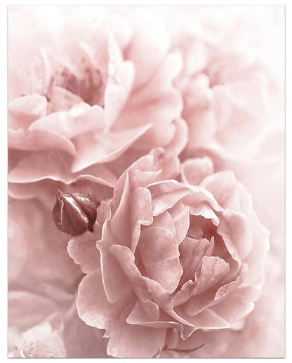 Blooming Pink Flower Canvas Art