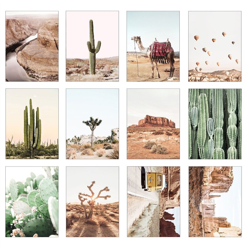 Desert Landscape Cactus Canvas Art