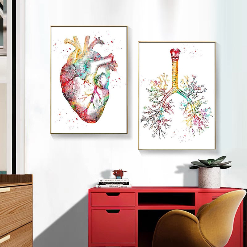 Human Anatomy Muscles System Canvas Art