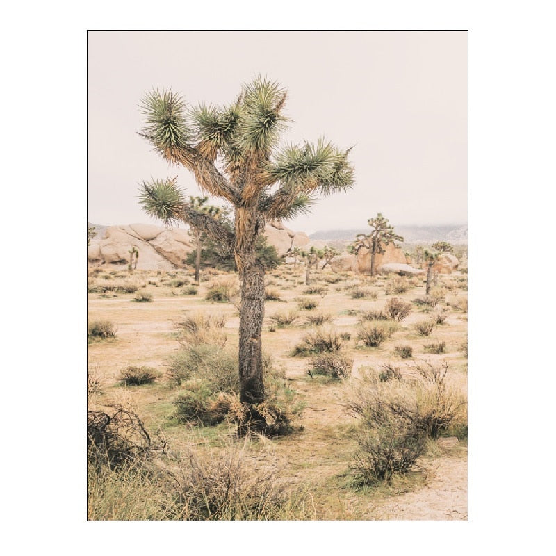 Desert Landscape Canvas Art