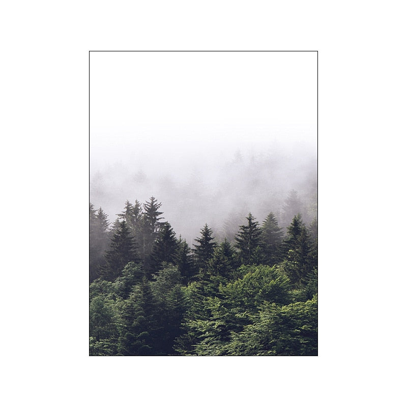 Foggy Forest Canvas Art