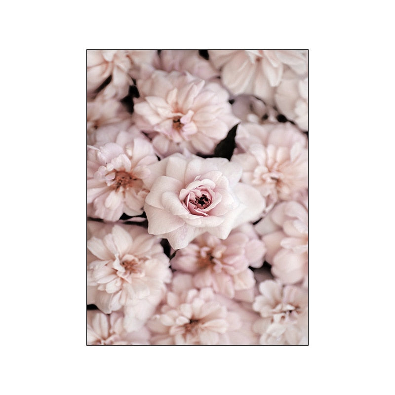 Pink Peony Rose Flower Canvas Art