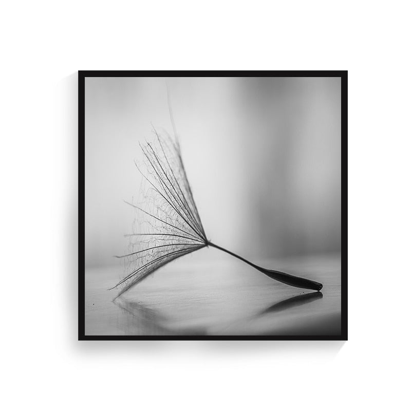 Black and White Dandelion Flower Art