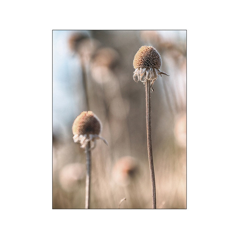 Brown Landscape Dandelion Elk Canvas Art