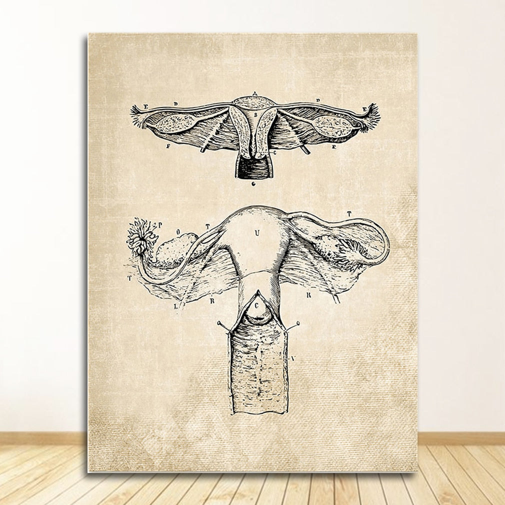 Vintage Anatomy Canvas Art