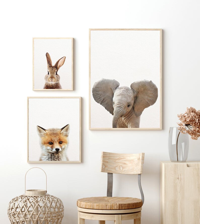 Cute Animal Canvas Art