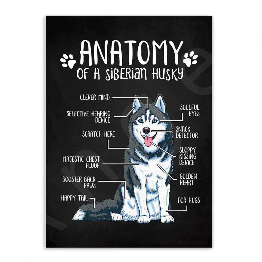 Anatomy of Dogs Canvas Art