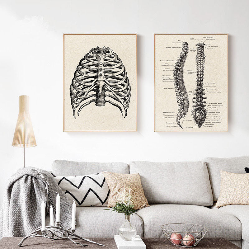 Vintage Human Anatomy Canvas Art