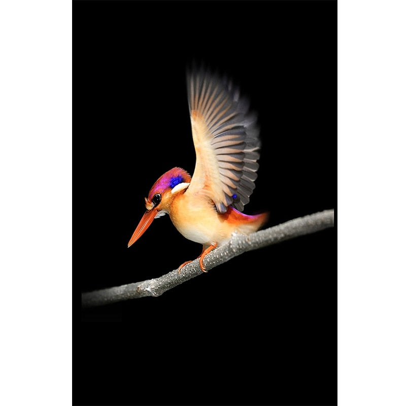 Graceful Birds Canvas Art