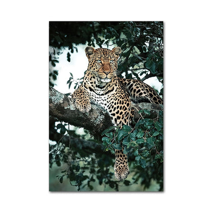 Peacock Elephant Cheetah Canvas Art