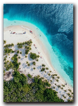 Beach Overlooking Blue Ocean Canvas Art