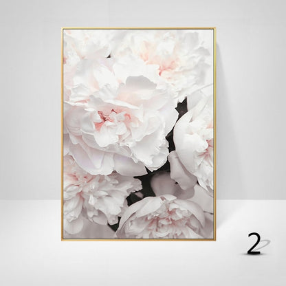 White Pink Peony Canvas Art