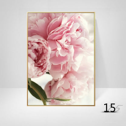 White Pink Peony Canvas Art