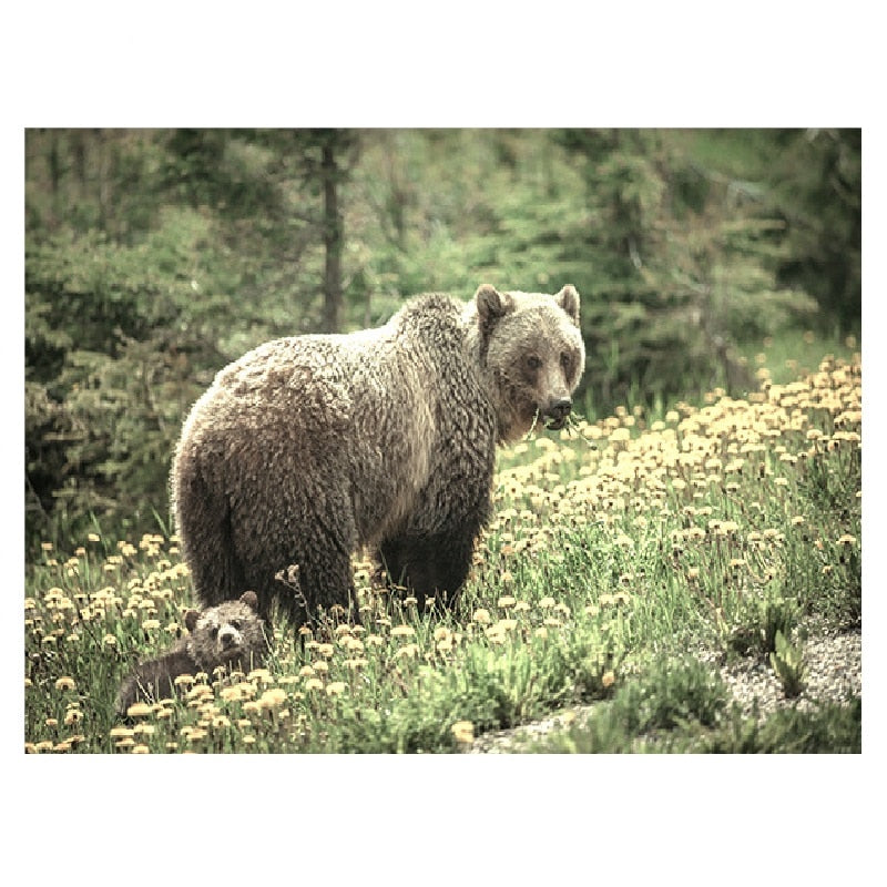 Nordic Landscape Sunflower Bear Canvas Art