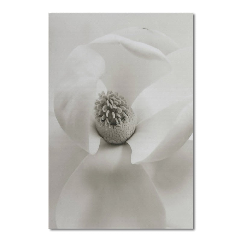 Black and White Flower Canvas Art