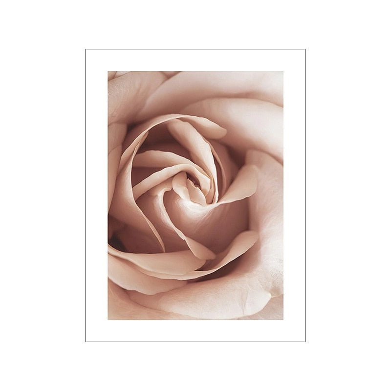 Pink Peony Rose Flower Canvas Art