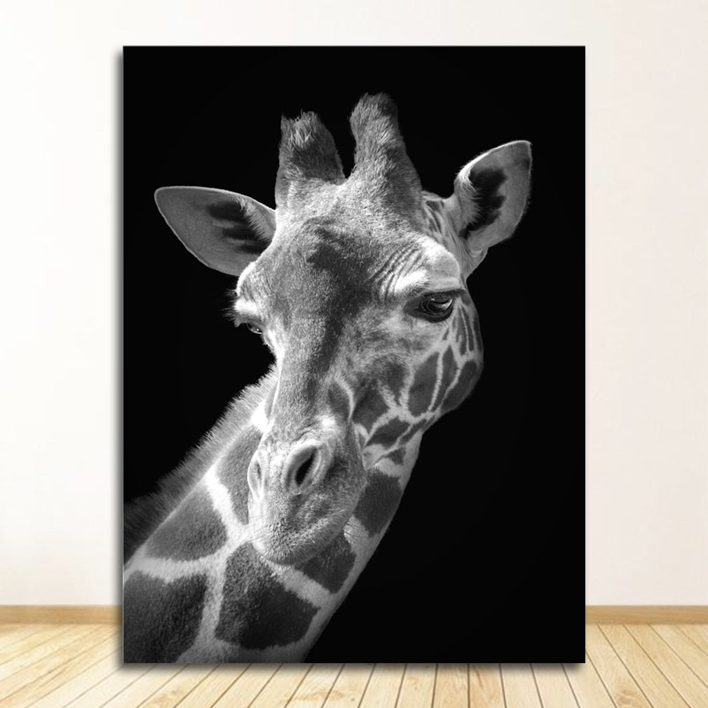 Black and White Animal Wall Art Canvas