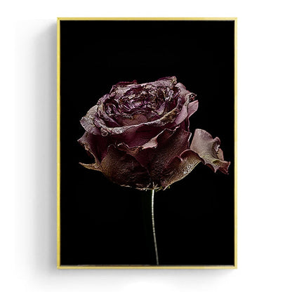 Withered Rose Canvas Art