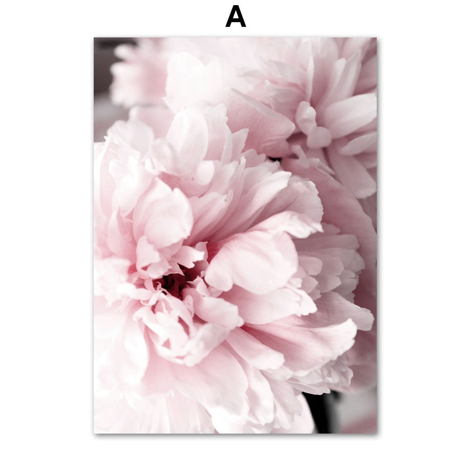 Pink Peony Paris Canvas Art