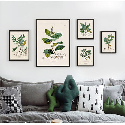 Botanical Studies Wall Art Canvas