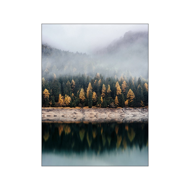 Foggy Forest Canvas Art