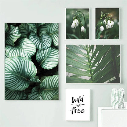 White Tulip Monstera Plant Canvas Art