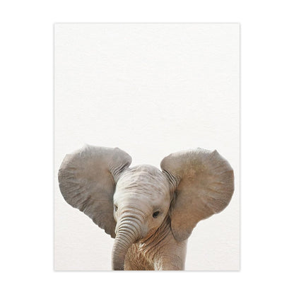 Cute Animal Canvas Art