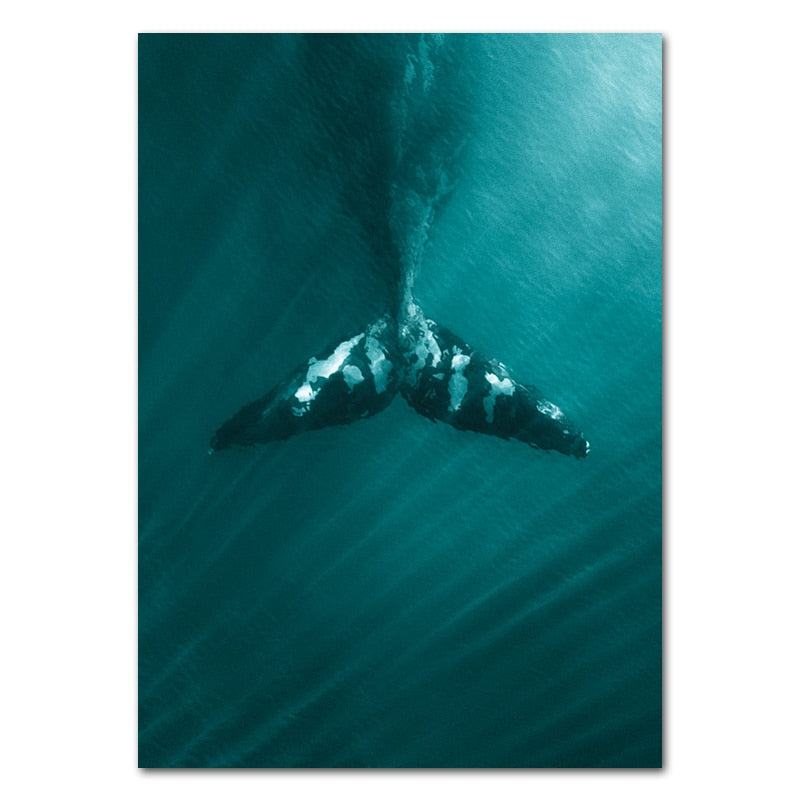 Whale Dolphin Canvas Art