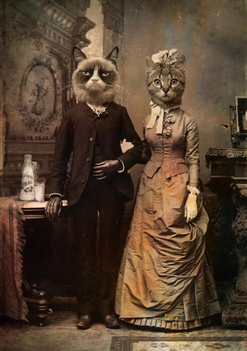 General Cats Couple Classical Canvas Art