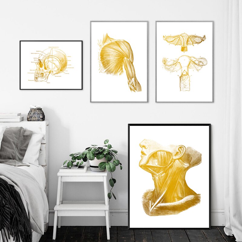 Gold Human Anatomy Canvas Art