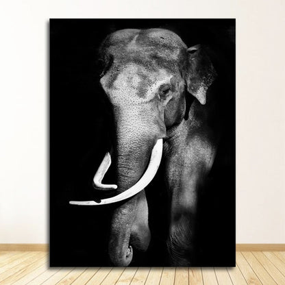 Black and White Animal Wall Art Canvas