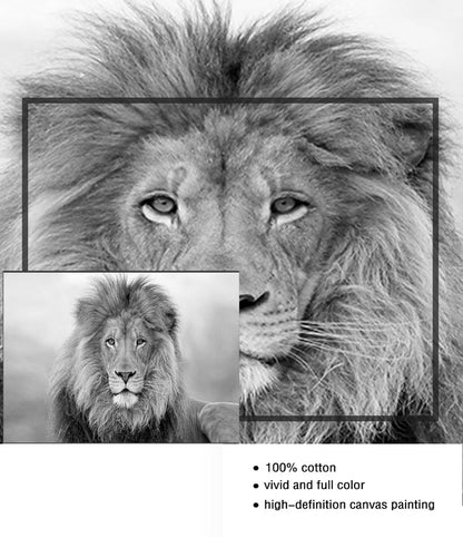 Black and White Lion Canvas Art