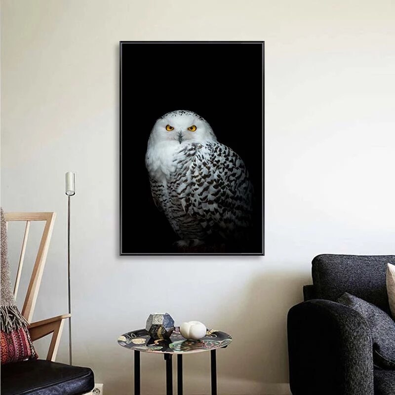 Black and White Owl Canvas Art