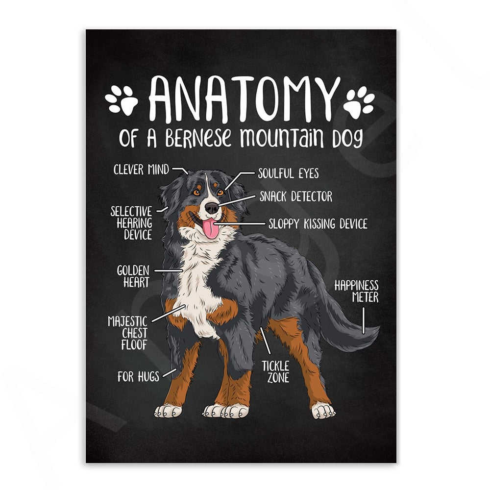 Anatomy of Dogs Canvas Art