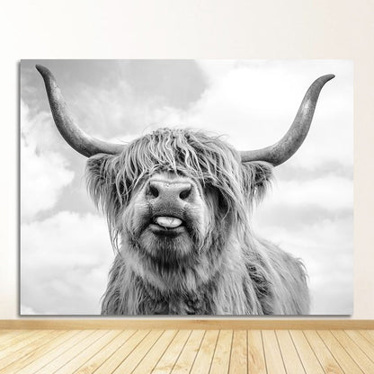 Black and White Yak Highland Cow Canvas Art