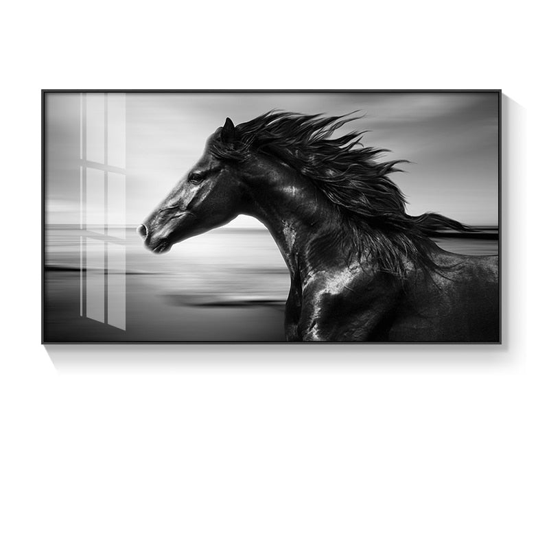 Modern Black and White Horse Canvas Art