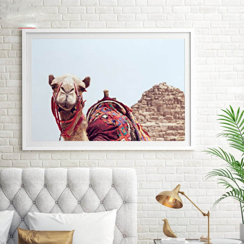 Pyramid Camel Canvas Art