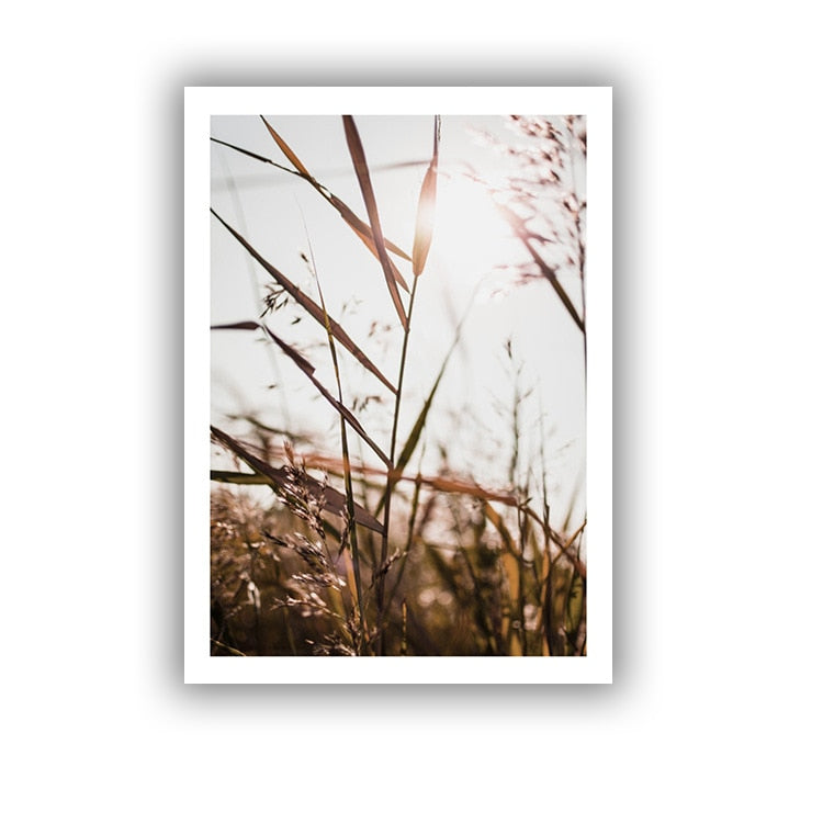 Dead Leaves Canvas Art