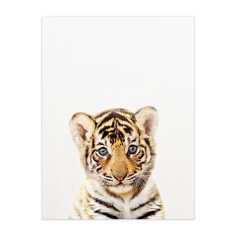 Cute Animal Canvas Art