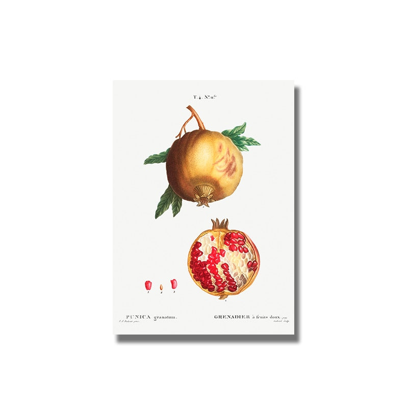 Fruit Pomegranate Cherry Grape Pear Canvas Art