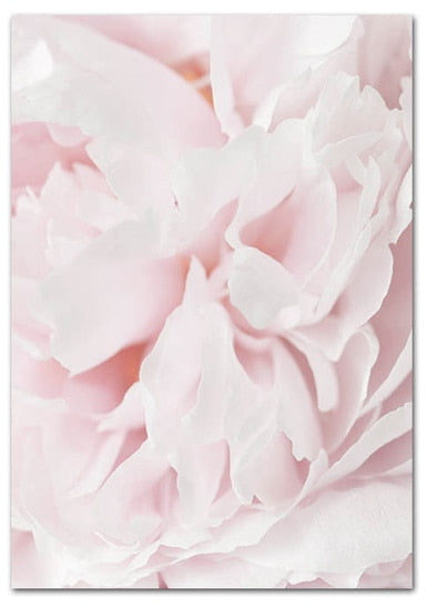 Blooming Pink Flower Canvas Art