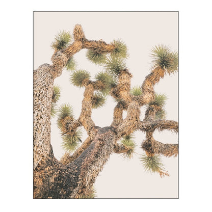 Desert Landscape Canvas Art