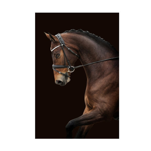 Running Brown Horse Canvas Art