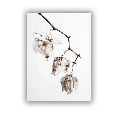 Dead Leaves Canvas Art