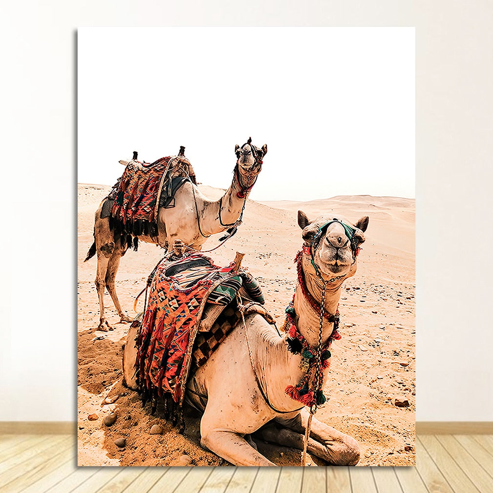 Marrakech Desert Camel Canvas Art