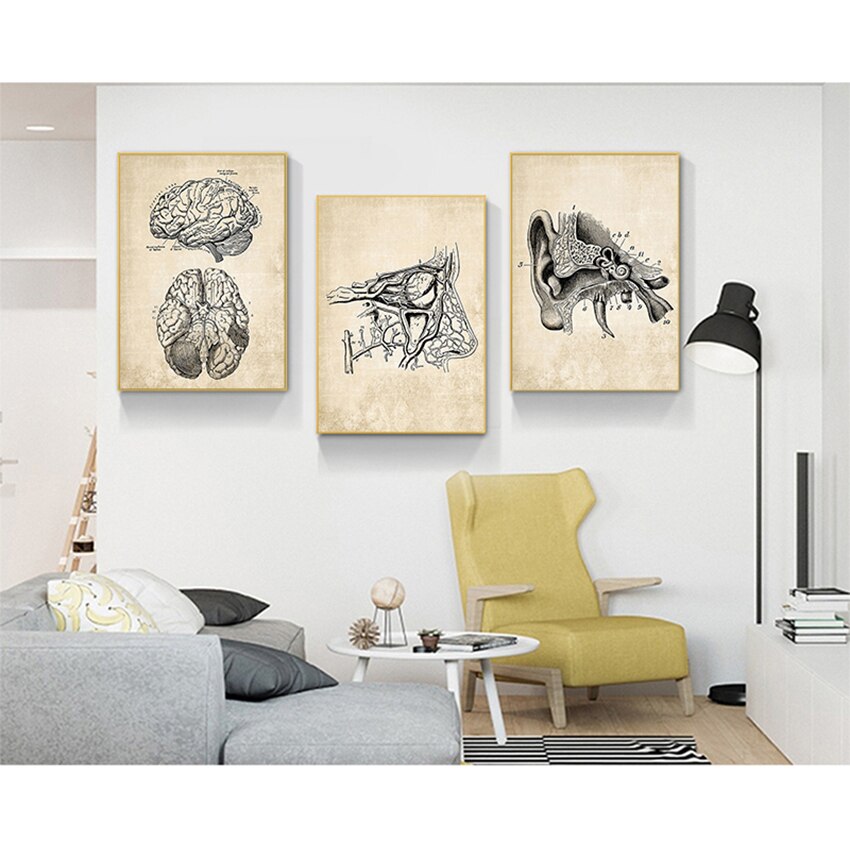 Vintage Anatomy Canvas Art