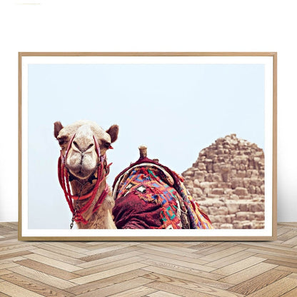 Pyramid Camel Canvas Art